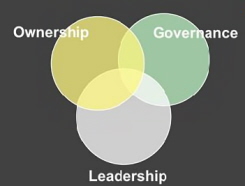 Ownership leadership and governance